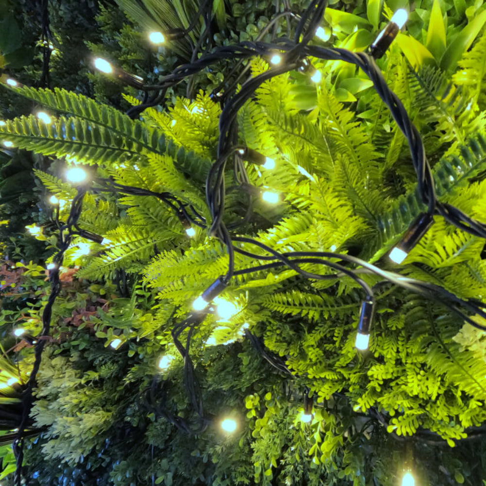 Pro Link Connectable Outdoor LED Fairy String Lights - Warm / Bright White