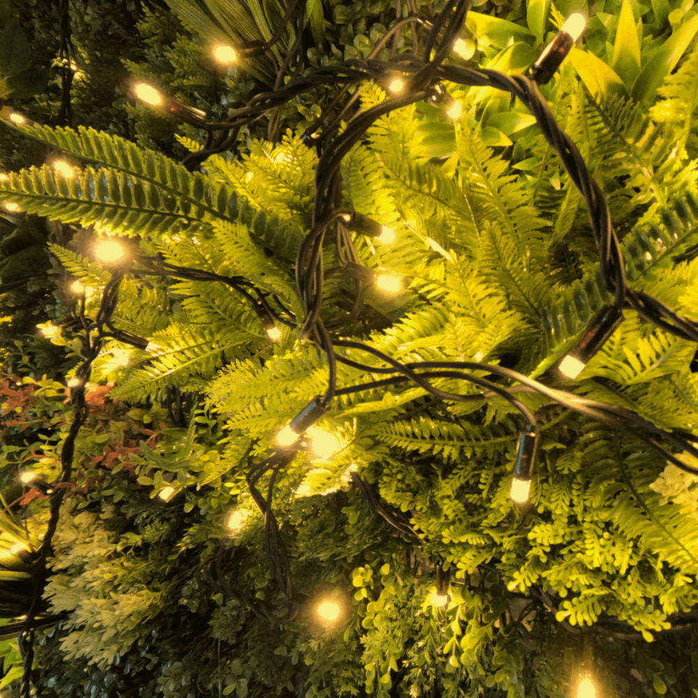 Pro Link Connectable Outdoor LED Fairy String Lights - Warm / Bright White