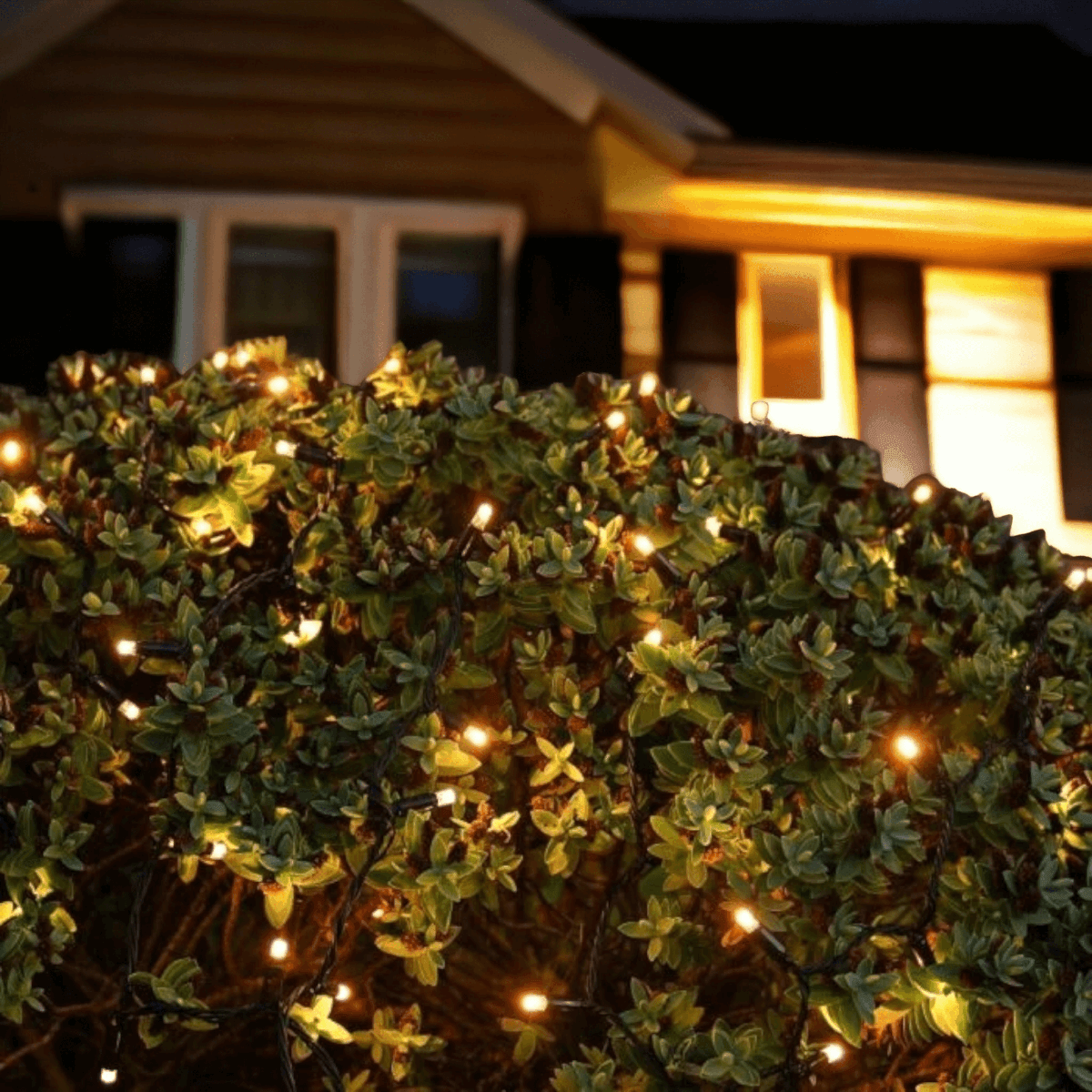 Pro Link Connectable Outdoor Fairy LED String Lights - IP65