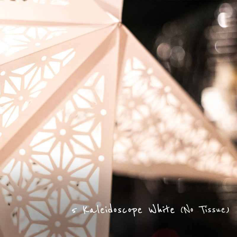 White Wedding Star Indoor Decoration Bundle - 10 Stars + 10m Festoon Lights