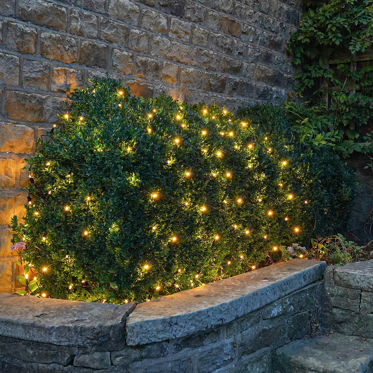 Festive Connect Net Outdoor Waterproof Warm White Lights