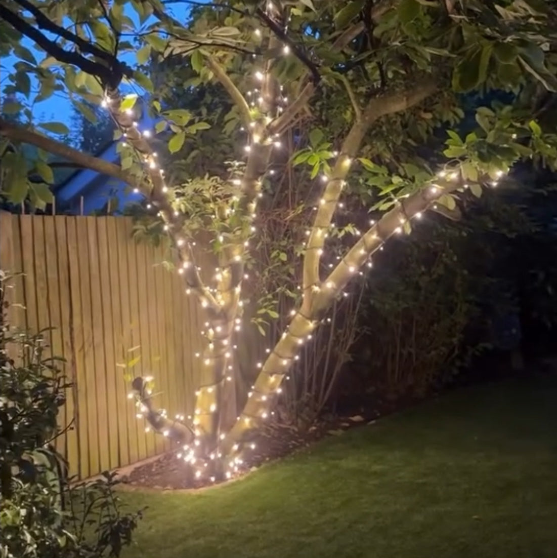 Pro Link Connectable Outdoor LED Fairy String Lights - Warm / Bright White