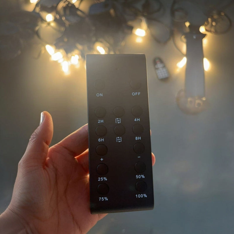 Elite Festoon Outdoor Dimmer Unit with Remote Control V2
