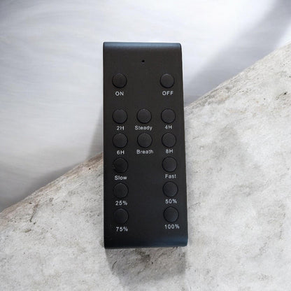 Elite Festoon Outdoor Dimmer Unit with Remote Control V2