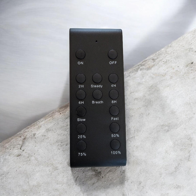 Elite Festoon Outdoor Dimmer Unit with Remote Control V2
