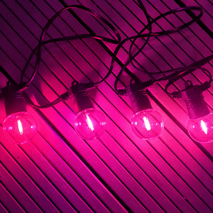 12 Pack Outdoor Super Festoon Waterproof LED Colour Bulbs