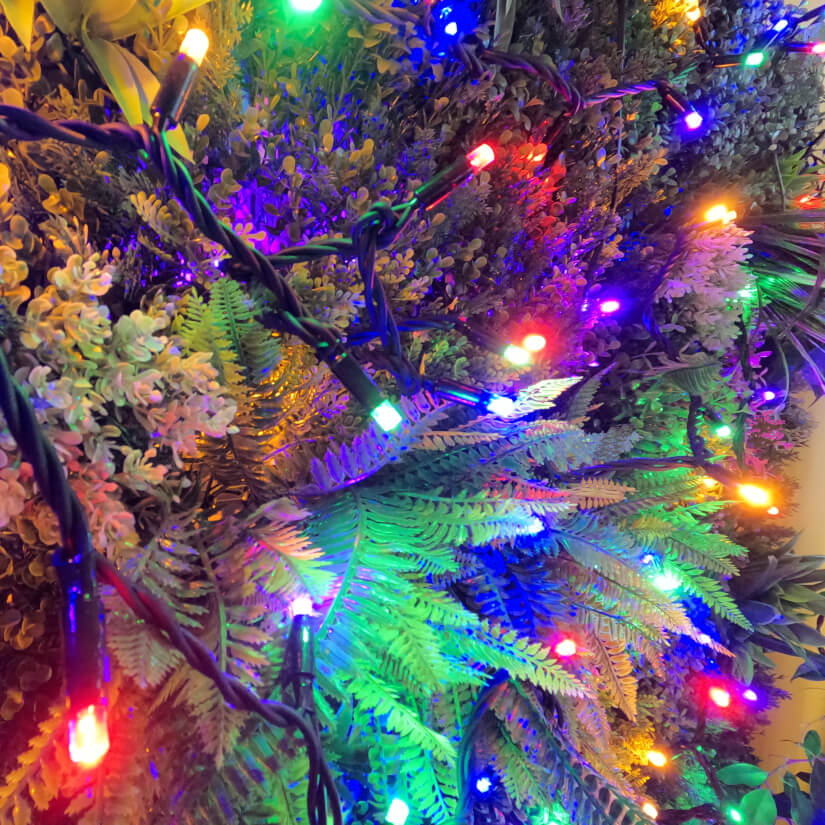 ConnectPro Connectable LED Twinkle Flash String Lights – 10-100m, IP65 Outdoor, Warm White/White – Festive Lights