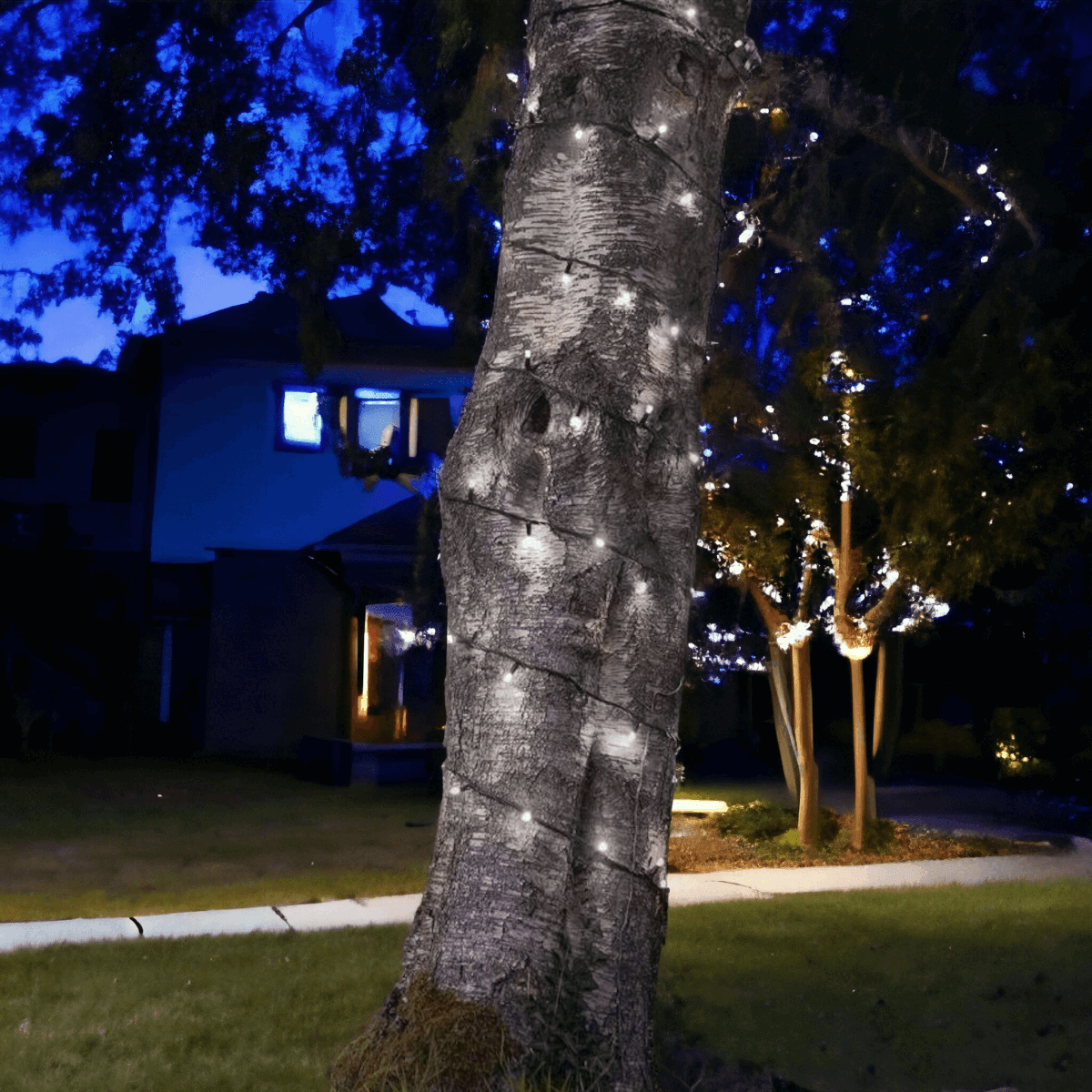 Outdoor tree best sale flood lights