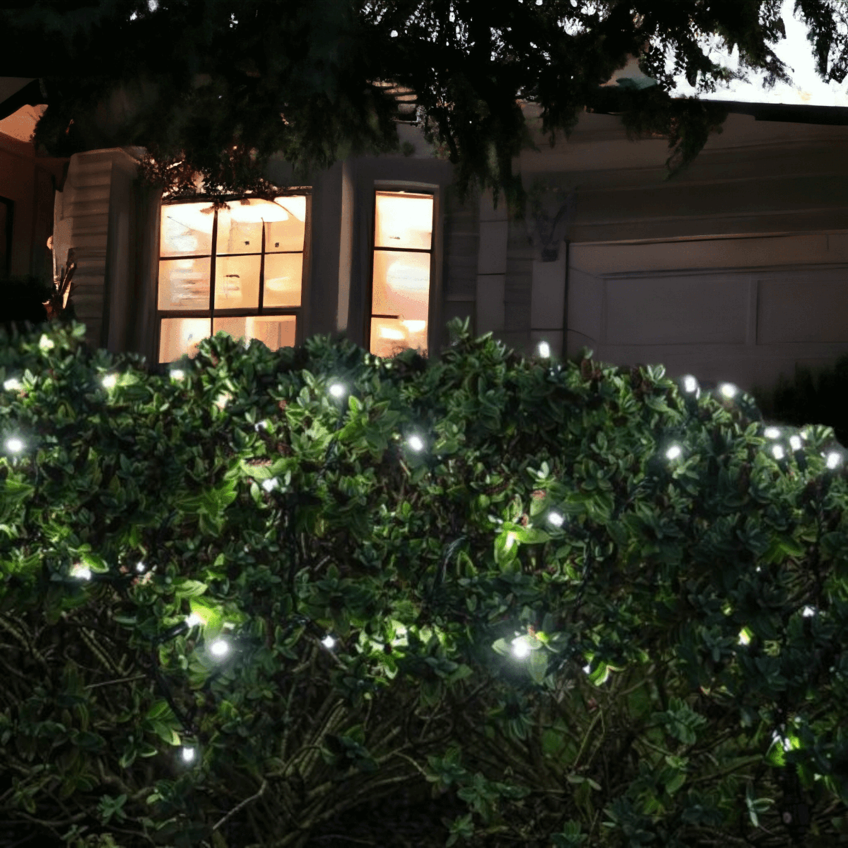 Pro Link Connectable Outdoor Fairy LED String Lights - IP65